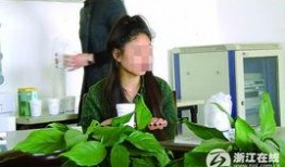 吴小姐最新爆料新闻,揭秘娱乐圈惊人内幕！